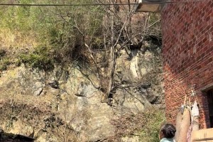 播放量300万！小姐姐投篮动作完胜90%以上爱好者 手感柔和